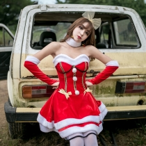 2018 Sweet Cat Christmas Dress M1187