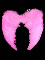 Pink wings MW02D