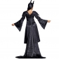 Evil Queen Halloween Witch Robe Women Costume M40766