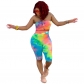 Women Sexy Two Piece Set Colorful Print Tube Top And Knee Length Pants m8418