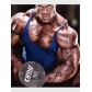 Gym Stringer Tank Top Men Bodybuilding Clothing Sport Vest M6100